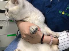 -仁普宠物诊所(住友昌盛新苑店)