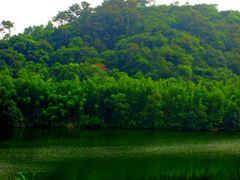 -广州市干部健康管理中心