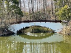 -东平国家森林公园