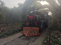 -永定河休闲森林公园