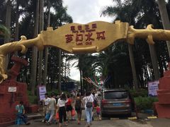 -珠海梦幻水城