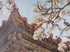 -故宫博物院(故宫)