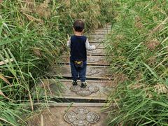 -西安汉城湖景区