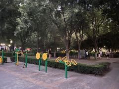 -莲花池公园