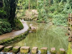 -凤栖山