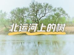 -北运河水利风景区