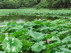 -雀儿山公园
