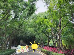 -大屏嶂森林公园