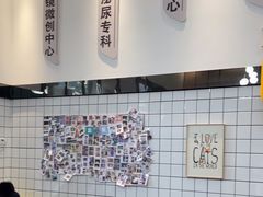 -半岛宠物医院24小时(科华中路店)
