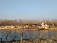 -东郊湿地公园