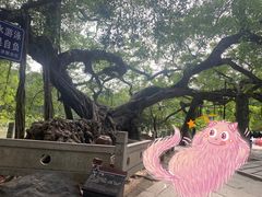 -小洲村