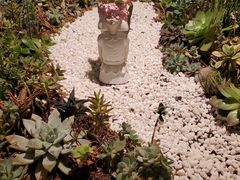 -春树下·树屋花房西餐厅(罍街AS1980店)