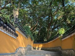 -普陀山风景名胜区-法雨禅寺