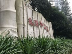 -龙头寺公园