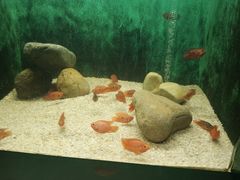 -常州海昌海洋探索馆