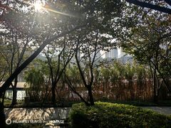 -青枫公园