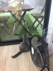 -Easy Lady美甲美睫半永久纹绣工作室