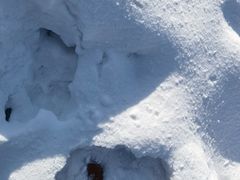 -中旅松花湖滑雪场
