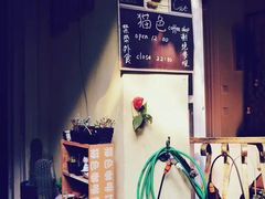 -猫色咖啡·猫咖