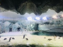 -横琴湾水世界