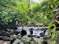 -鼎湖山风景区