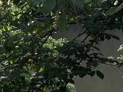 -波尔登森林公园