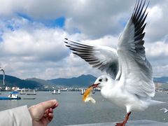 -海埂大坝