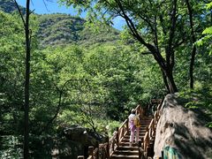 -大岭沟猕猴桃谷风景区