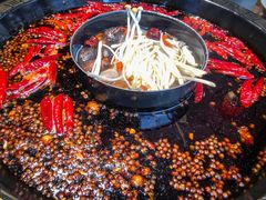 南北鸳鸯锅-重庆渝达老火锅(春熙路店)