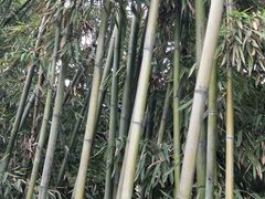 -清凉寺