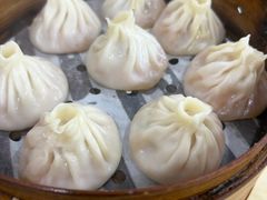 -莱莱小笼·乔艾