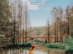 -云溪植物园