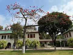 -厦门大学(思明校区)