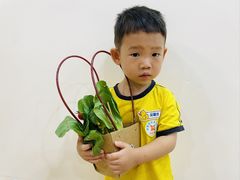 -金点蒙氏国际教育(悠然校区)