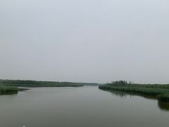 -西青郊野公园