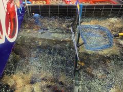 -天天鱼港·海鲜·鲅鱼水饺·招牌烤鸭(黄骅店)