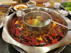 -金鼎雪山牦牛杂火锅(理县总店)