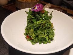 -安多素食(广仁寺路店)