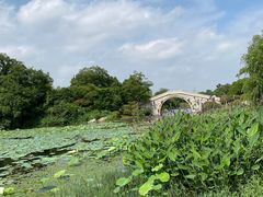 -桃花岛景观公园