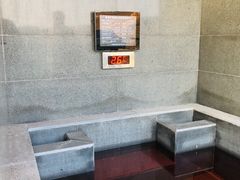 -五龙城郊森林公园