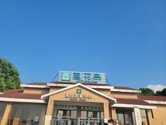 -莲花岛景区