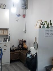 -花师傅