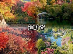 -济南大明湖景区