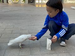 -中粮·祥云小镇
