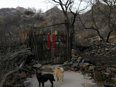 -大岭沟猕猴桃谷风景区