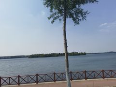 -丁香湖公园