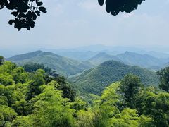 -莫干山风景区