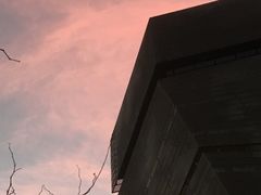 -旧金山现代艺术博物馆