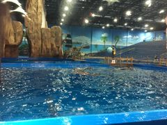 -华夏文旅海洋公园