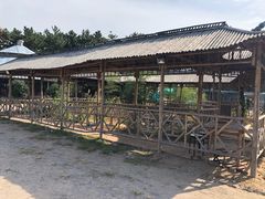 -仰口沙滩